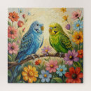 Zoek naar parkieten puzzels Vogels