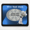 Recherche de dalmate tapis souris Chiot