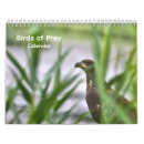 Recherche de oiseau calendriers Faucons