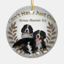 Recherche de stuffers de bas ornements Chien