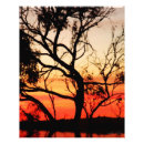 Recherche de arbre tordu posters Arbres