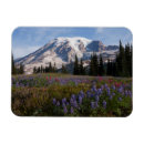Recherche de fleur alpine magnets État de washington
