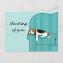 Zoek naar beagle briefkaarten Huisdieren