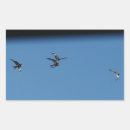 Zoek naar vogels tijdens vlucht stickers Roofvogels