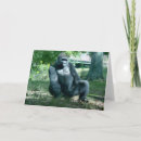 Recherche de gorilles vœux cartes Pour tous