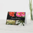 Zoek naar flowers kaarten Landschap