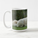 Recherche de tasse de griffonnage tasses D'or