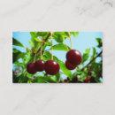 Recherche de rouge cerise cartes visite Cerises