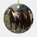 Recherche de mustang sauvage ornements Plomb langrish