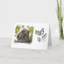 Recherche de écureuil mignon vœux cartes Nature