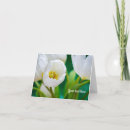 Recherche de tulipes vœux cartes De sympathie