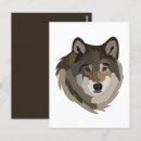 Recherche de loup sauvage cartes postales Animal
