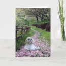 Recherche de chien pourpre vœux cartes Chiens