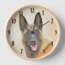 Recherche de belge horloges Malinois