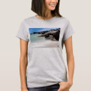 Recherche de shell tshirts Floride
