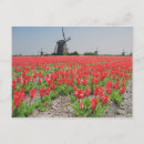 Zoek naar popart briefkaarten Reizen