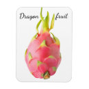Recherche de dragon magnets Pitahaya