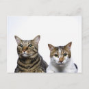 Recherche de japonais cartes postales Animaux