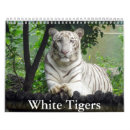 Zoek naar tijgers kalenders Bergen