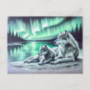 Recherche de loup sauvage cartes postales Nuit