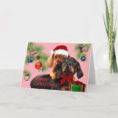 Recherche de teckel Joyeux noël