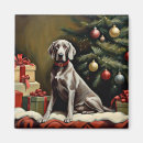 Recherche de weimaraner magnete Animal