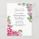 Recherche de bougainvillea cartes postales Rose