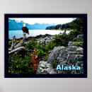 Zoek naar alaska kale adelaar posters Wild