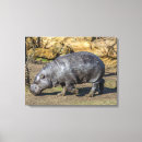 Zoek naar dierentuin canvas prints Wild
