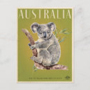 Recherche de koala australie cartes postales Animal