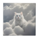 Recherche de chaton adorable carreaux Blanc