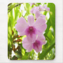 Recherche de orchidée verte tapis souris Jardin
