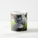 Recherche de poule de coq tasses Animal