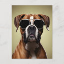 Recherche de chien boxeur cartes postales Portrait