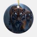 Recherche de animal prédateur Tigres
