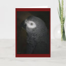 Zoek naar papegaaien kaarten Grijs