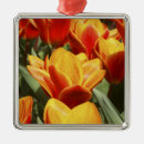 Zoek naar tulp ornamenten Groen