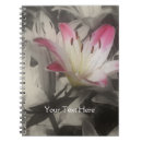 Recherche de note de lis photographie Nature