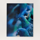 Recherche de pigeon puzzles Bleu