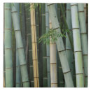 Zoek naar bamboo tegels Plant