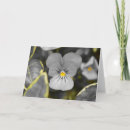 Recherche de pansement vœux cartes Jardin