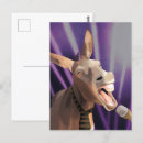 Recherche de drôle animal cartes postales Capricieux