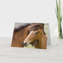 Recherche de islandais vœux cartes Ranch