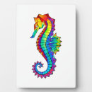 Recherche de portrait cheval plaques Arc en ciel