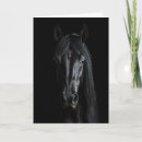 Recherche de amant photographie Amant de cheval