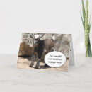 Zoek naar baby geit kaarten Leuk