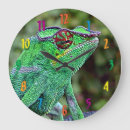 Recherche de cameleon horloges Reptile