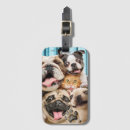 Recherche de humour de chien bagages étiquettes Blague