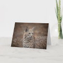 Recherche de menace vœux cartes Gros chat