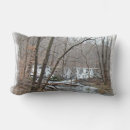 Recherche de paysage neige coussins Glace